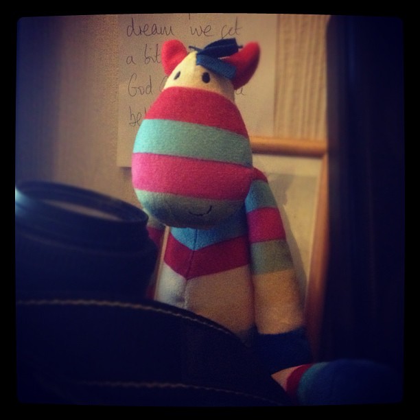 Mr Stripy in hiding