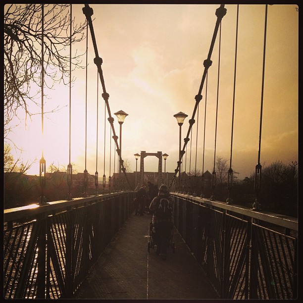 We went for a walk today