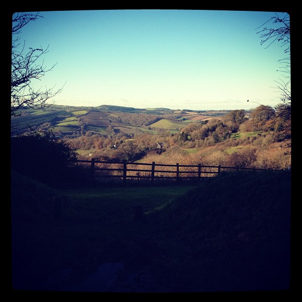 We had lunch in a pretty place today!