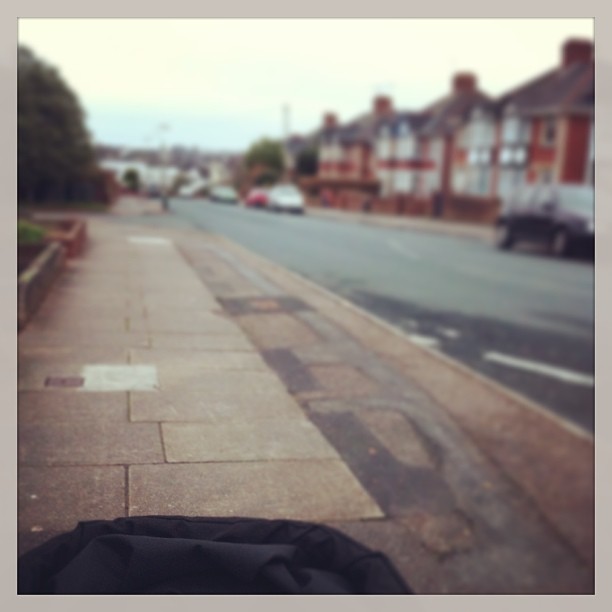 Mummy took me for a walk today