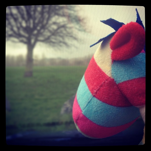Me and Mr Stripy went to the park today, but we couldn't go out the car because it got really really wet really really fast!