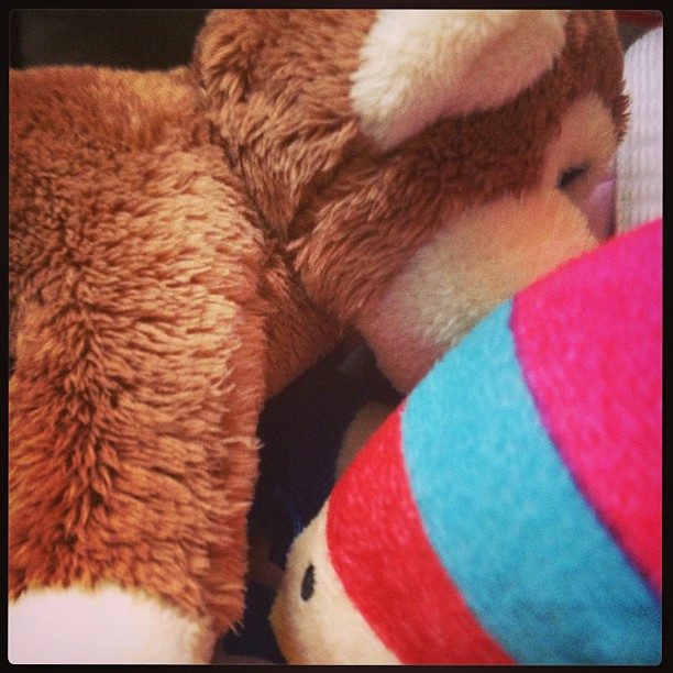 Today. Mr Stripy met The monkey!!