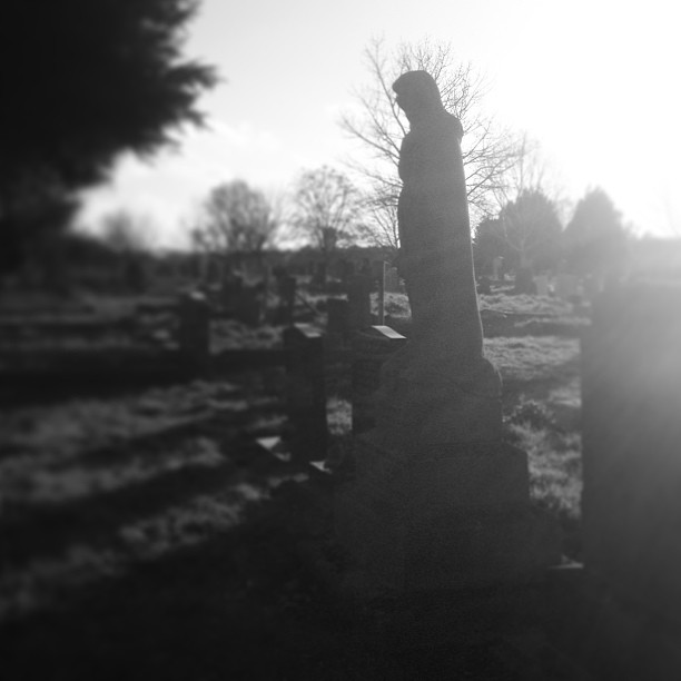 Weeping Angel?