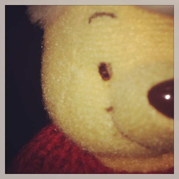 This is my friend Pooh