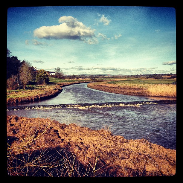 Mummy and Daddy took me  to The Bridge pub in Topsham today. We saw a pretty river.