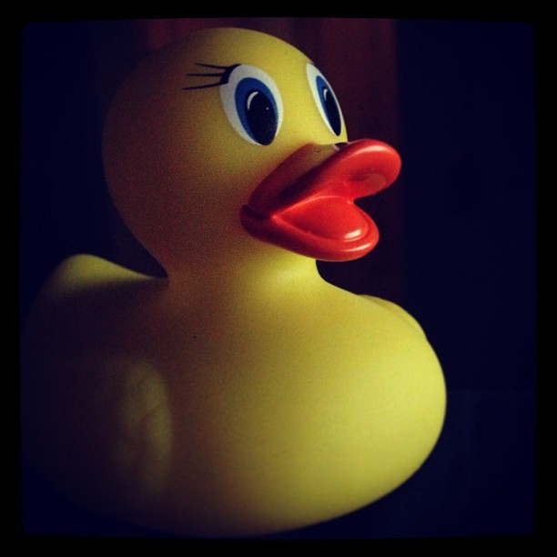 Meet Mr Duck!