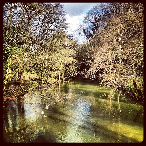 I woke up in Bristol today and went on a nice walk with mummy daddy Jo jos mummy and jos daddy!