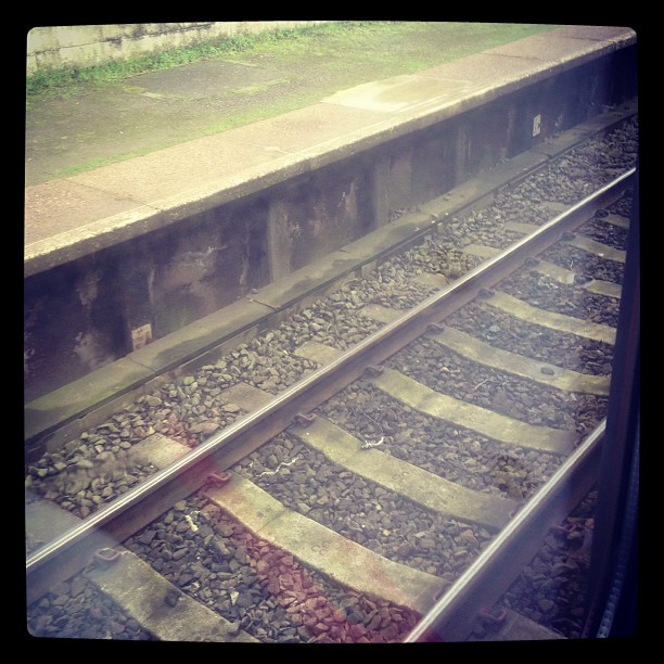 Mummy and Daddy took me on the train again today!