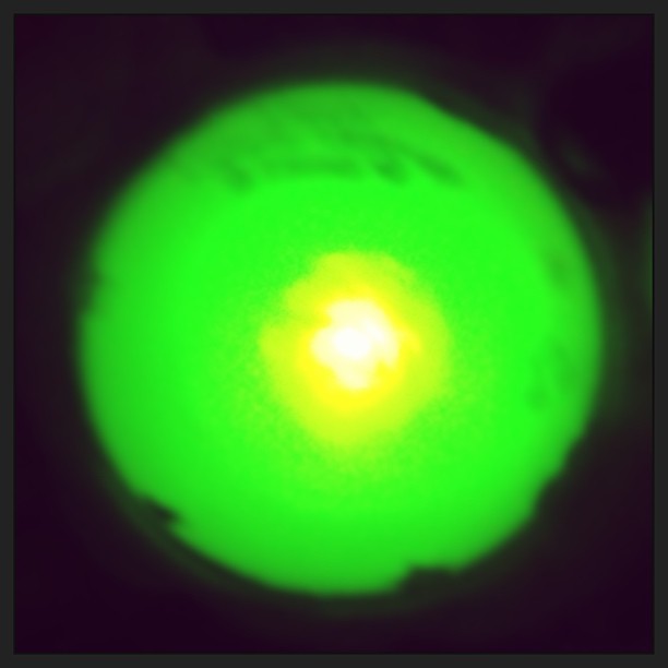 Ooooo green light...