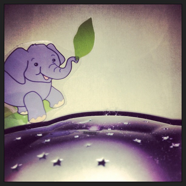 Elephant!!
