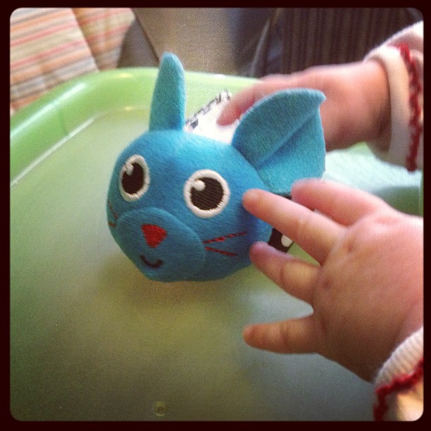 I found a mouse on my seat today!