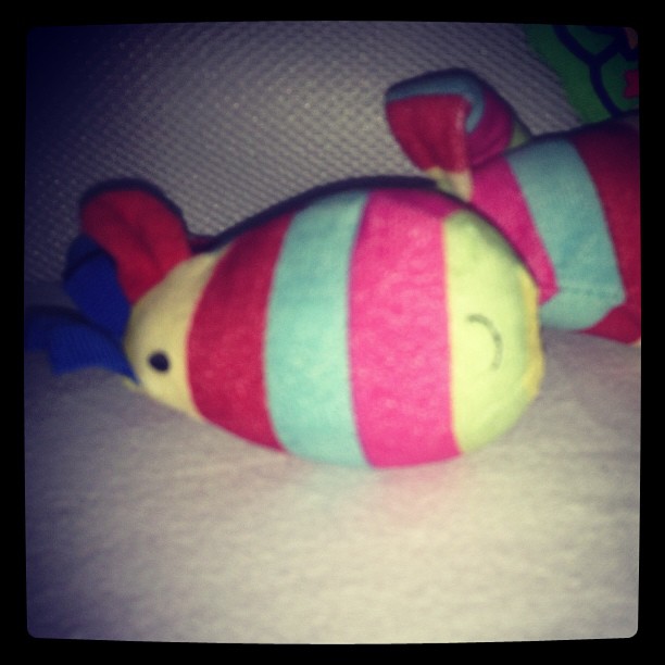 Night Night Mr Stripy. Night Night.
