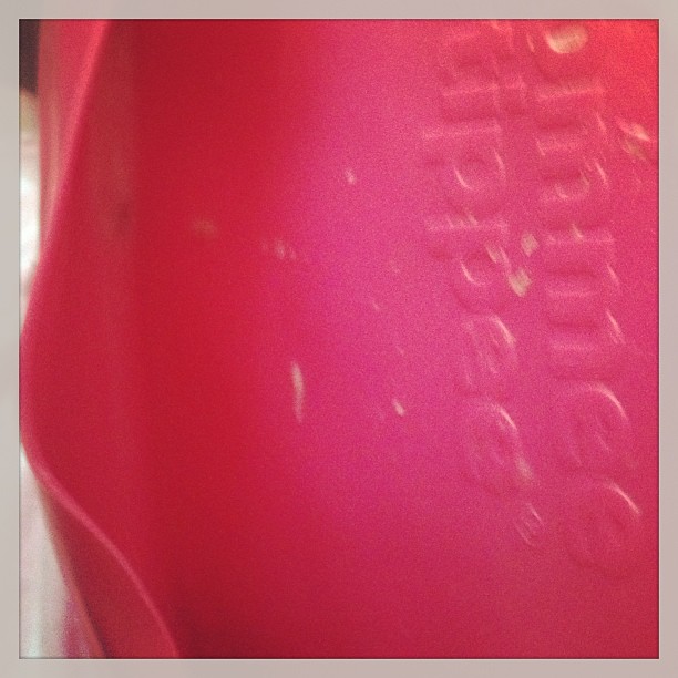 Did you know how tasty a bib is?