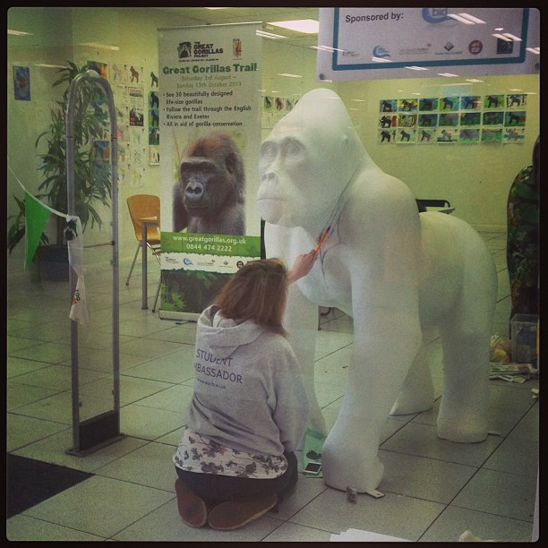 Why is she painting a  gorilla?