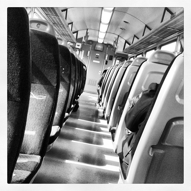 We went on the train to Topsham today, I met lots of nice people!