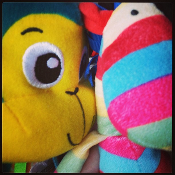 My two friends