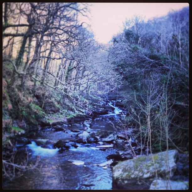 Daddy showed me a river today