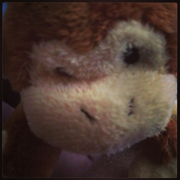 It's monkey!!!