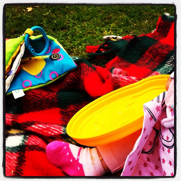 My first picnic at Bicton