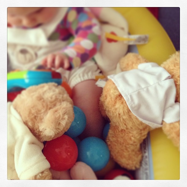 I played in duck today and doctor teddy tried to escape!