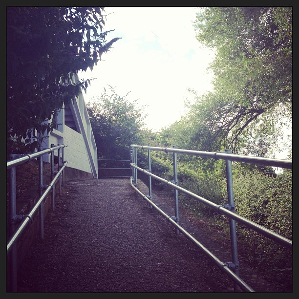 Daddy's walk to work