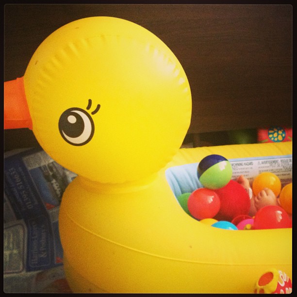 I hung out in ducky when mummy went to work today.