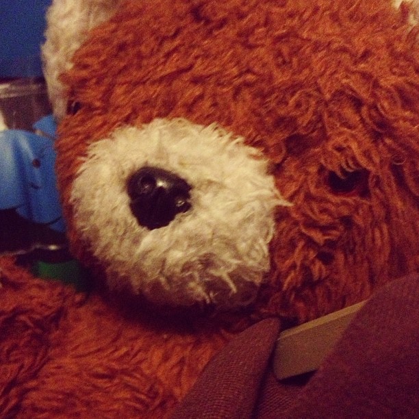 I asked daddy for help keeping my toys in line. He told me to talk to Ted. Daddy says Ted is old...